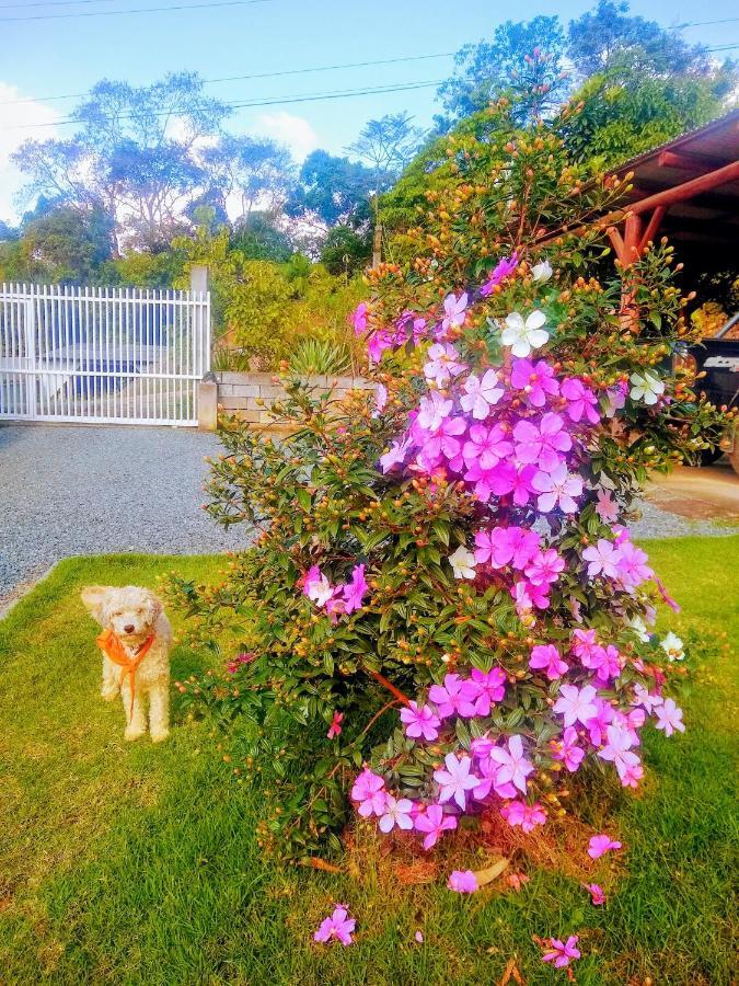 Le Petit Cherie Blumenau Eksteriør bilde