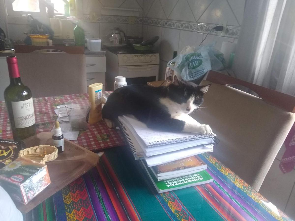Le Petit Cherie Blumenau Eksteriør bilde